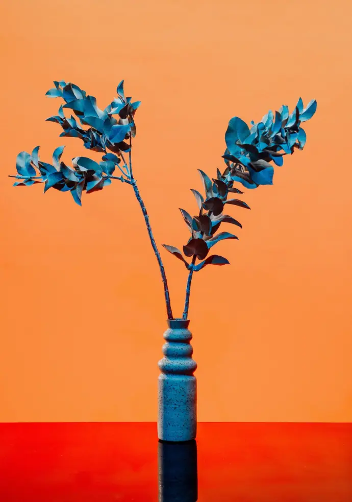 Photograph by Connor Patterson