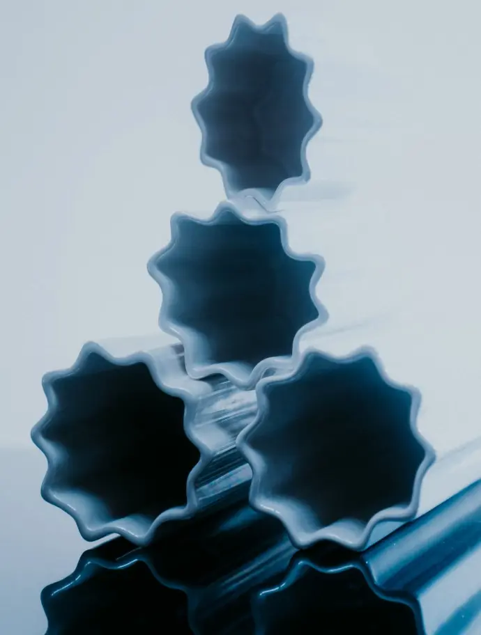 Photograph by Emmaline Zanelli