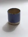Juniper Cup